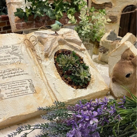 モルタル雑貨と多肉植物寄せ植えワークショップ